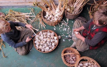 我们并不需要的那种所谓教育